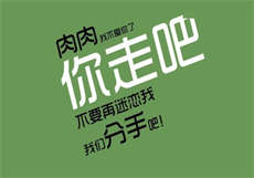 枫叶播放器2.7破解版

