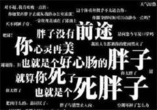婉芳出品必属精品啥意思
